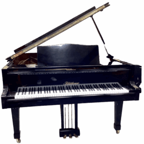 Blüthner – Poli noir (1923)