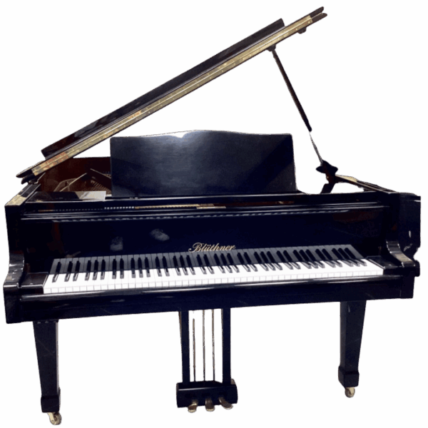 C. bechstein - L180cm