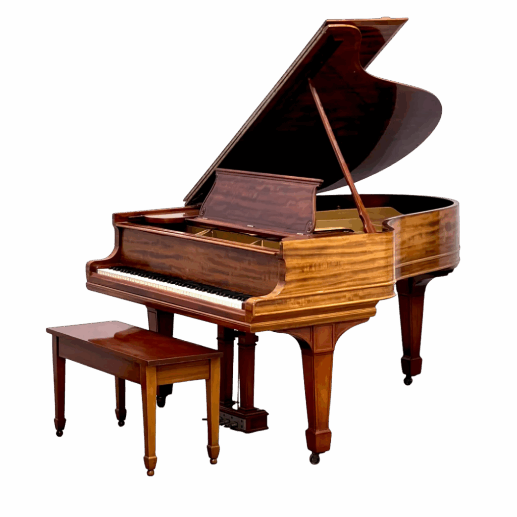 Sthinway x soul – Poli noir 1904